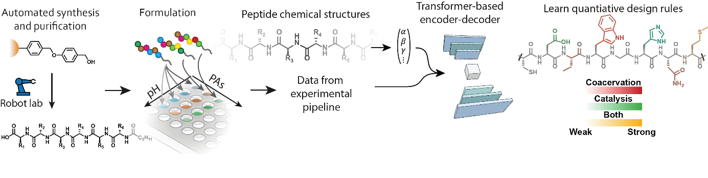 Peptide-based workflows